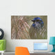 Scrub Jay Wall Mural