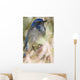 Scrub Jay Wall Mural