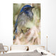 Scrub Jay Wall Mural