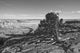 Petrified Forest National Park, Arizona Wall Mural