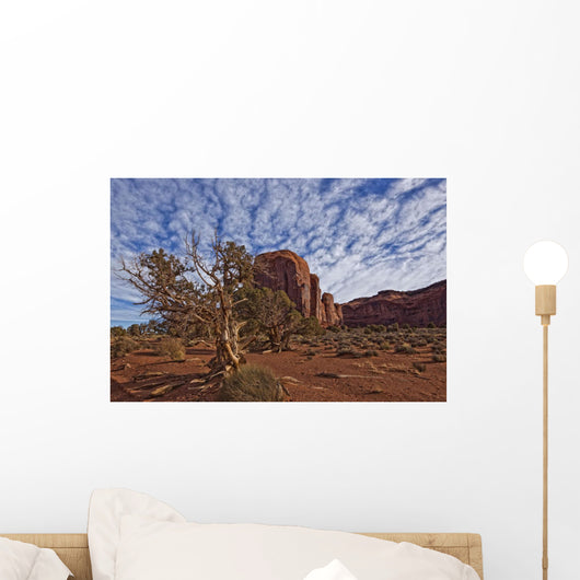 Morning Clouds Over Monument Valley And Tree, Arizona Wall Mural