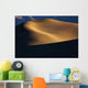 Mesquite Sand Dunes, Death Valley National Park, California Wall Mural