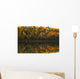 Fall Colors Reflected In The Waters Of Opeongo Lake Wall Mural