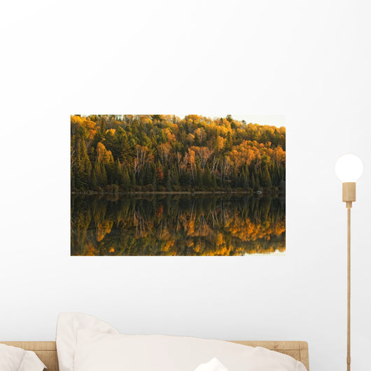 Fall Colors Reflected In The Waters Of Opeongo Lake Wall Mural
