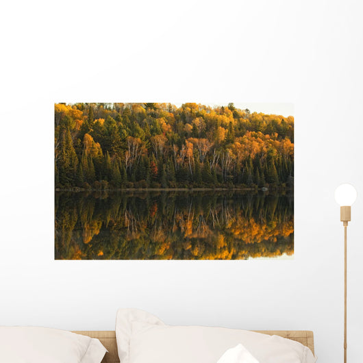 Fall Colors Reflected In The Waters Of Opeongo Lake Wall Mural