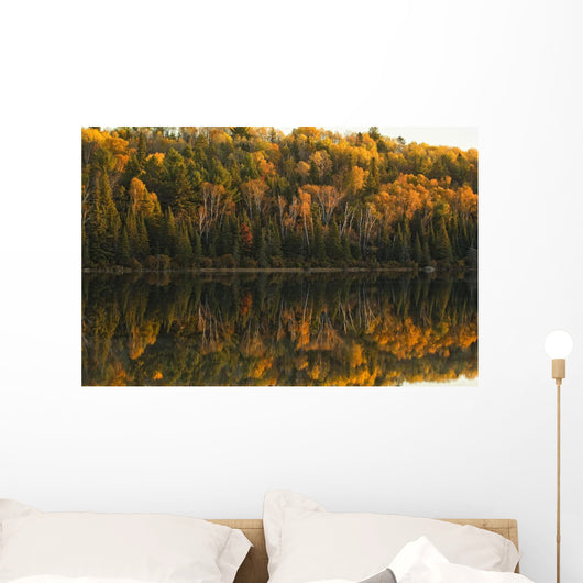 Fall Colors Reflected In The Waters Of Opeongo Lake Wall Mural