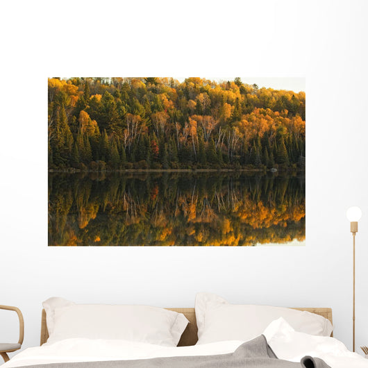 Fall Colors Reflected In The Waters Of Opeongo Lake Wall Mural