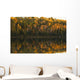 Fall Colors Reflected In The Waters Of Opeongo Lake Wall Mural