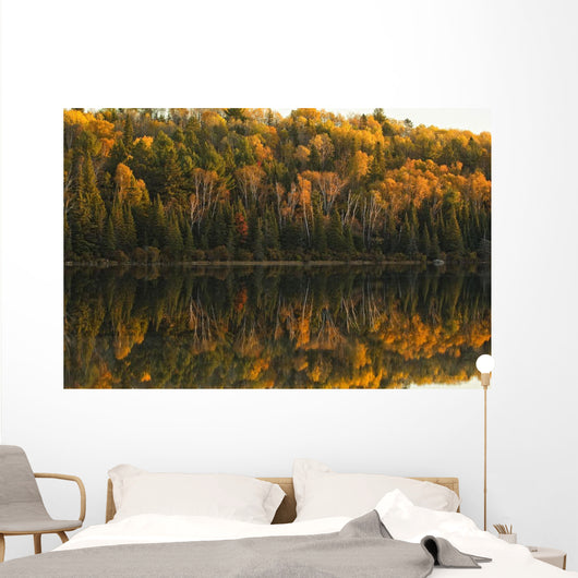 Fall Colors Reflected In The Waters Of Opeongo Lake Wall Mural