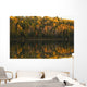 Fall Colors Reflected In The Waters Of Opeongo Lake Wall Mural