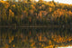 Fall Colors Reflected In The Waters Of Opeongo Lake Wall Mural