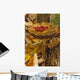 Mushroom With Leaf On It, Algonquin Provincial Park, Ontario Wall Mural