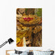 Mushroom With Leaf On It, Algonquin Provincial Park, Ontario Wall Mural