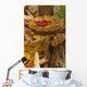 Mushroom With Leaf On It, Algonquin Provincial Park, Ontario Wall Mural