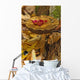 Mushroom With Leaf On It, Algonquin Provincial Park, Ontario Wall Mural