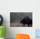 Moose, Algonquin Provincial Park, Ontario Wall Mural