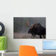 Moose, Algonquin Provincial Park, Ontario Wall Mural