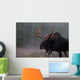 Moose, Algonquin Provincial Park, Ontario Wall Mural