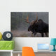 Moose, Algonquin Provincial Park, Ontario Wall Mural