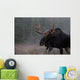 Moose, Algonquin Provincial Park, Ontario Wall Mural