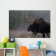 Moose, Algonquin Provincial Park, Ontario Wall Mural