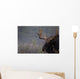 Moose, Algonquin Provincial Park, Ontario Wall Mural