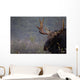 Moose, Algonquin Provincial Park, Ontario Wall Mural