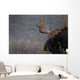 Moose, Algonquin Provincial Park, Ontario Wall Mural