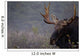Moose, Algonquin Provincial Park, Ontario Wall Mural