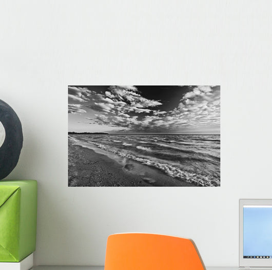 Black And White Shoreline Of Lake Ontario Wall Mural