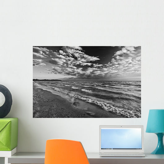 Black And White Shoreline Of Lake Ontario Wall Mural