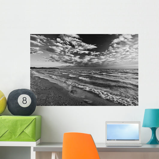 Black And White Shoreline Of Lake Ontario Wall Mural