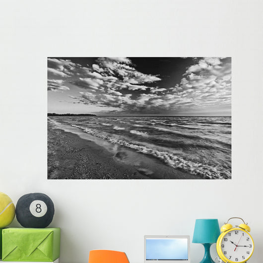 Black And White Shoreline Of Lake Ontario Wall Mural