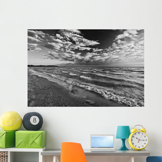 Black And White Shoreline Of Lake Ontario Wall Mural