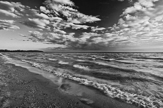 Black And White Shoreline Of Lake Ontario Wall Mural