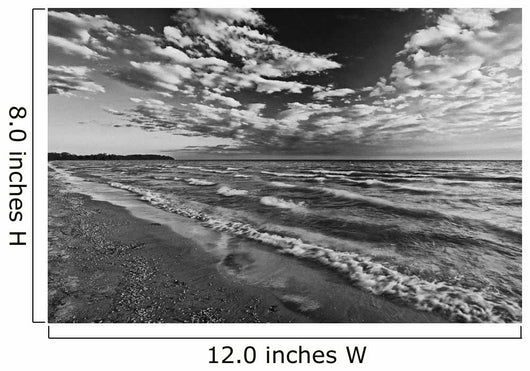 Black And White Shoreline Of Lake Ontario Wall Mural