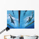 Swimming Action Wall Mural