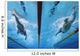 Swimming Action Wall Mural
