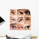 Female Eyes Opthamology Wall Mural