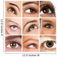 Female Eyes Opthamology Wall Mural