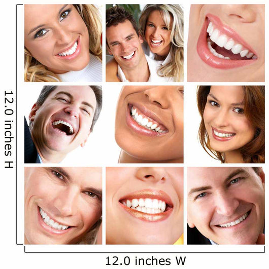Teeth Wall Mural