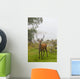 A Deer Stands In A Foggy Meadow By The Water's Edge Wall Mural