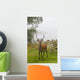 A Deer Stands In A Foggy Meadow By The Water's Edge Wall Mural
