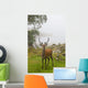 A Deer Stands In A Foggy Meadow By The Water's Edge Wall Mural