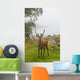 A Deer Stands In A Foggy Meadow By The Water's Edge Wall Mural