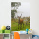 A Deer Stands In A Foggy Meadow By The Water's Edge Wall Mural