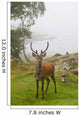 A Deer Stands In A Foggy Meadow By The Water's Edge Wall Mural
