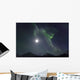 Aurora Borealis Or Northern Lights Above The Mountains Near Whitehorse Wall Mural