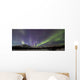 Aurora Borealis Or Northern Lights Above The Mountains Near Whitehorse Wall Mural