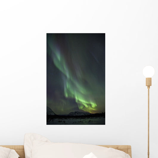 Aurora Borealis Or Northern Lights Above The Mountains Near Whitehorse Wall Mural